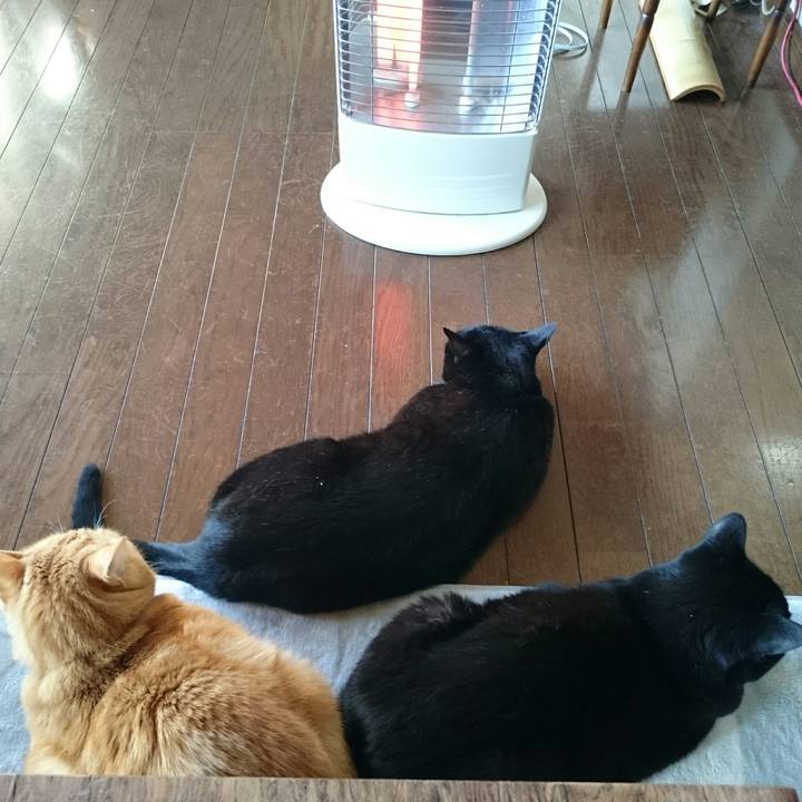 8b33cf00 7ddd 44b4 9470 0878bee1d220