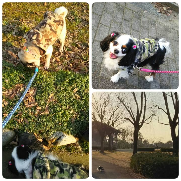 8b33d3f7 95ec 4e7d 983c 364ba08cb358