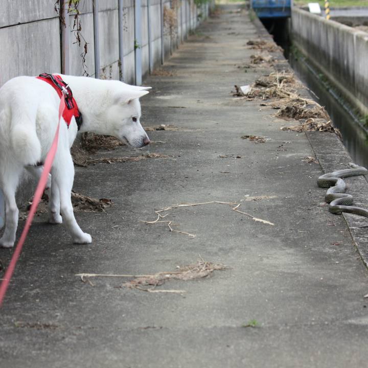 8b33eda3 dec4 43cc 92a7 eac628c461c2