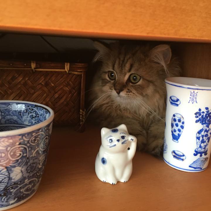 8b340c11 447b 41c2 a477 438029ebf015