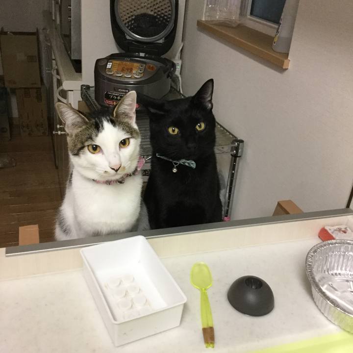 8b3410de 1213 4cf0 b517 303e224fe774