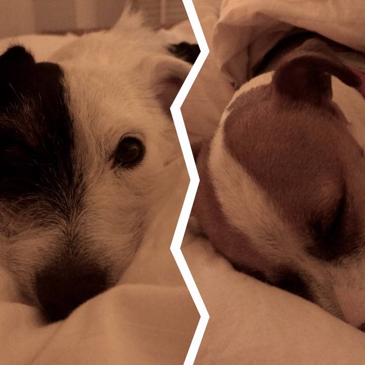 8b343d92 989b 4cc3 9a82 031d7d4a3145