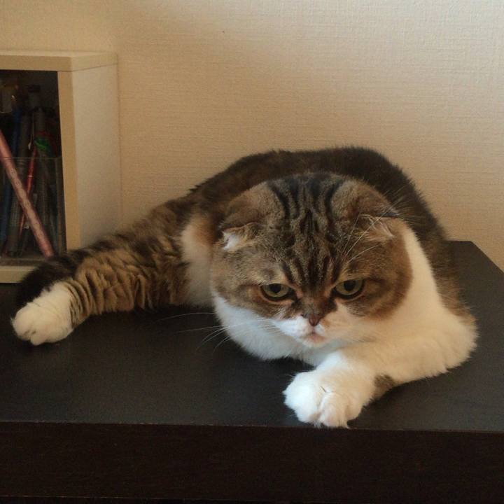 8b344e50 28e4 4cff ab2b 715066fb7676