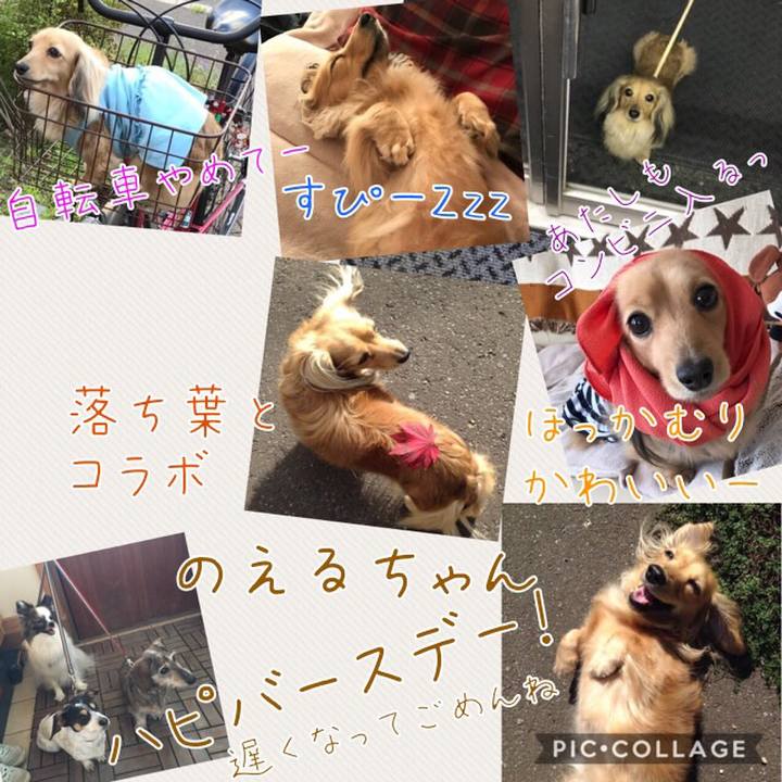 8b345337 b57b 4666 a2c3 7f1550be7ce7