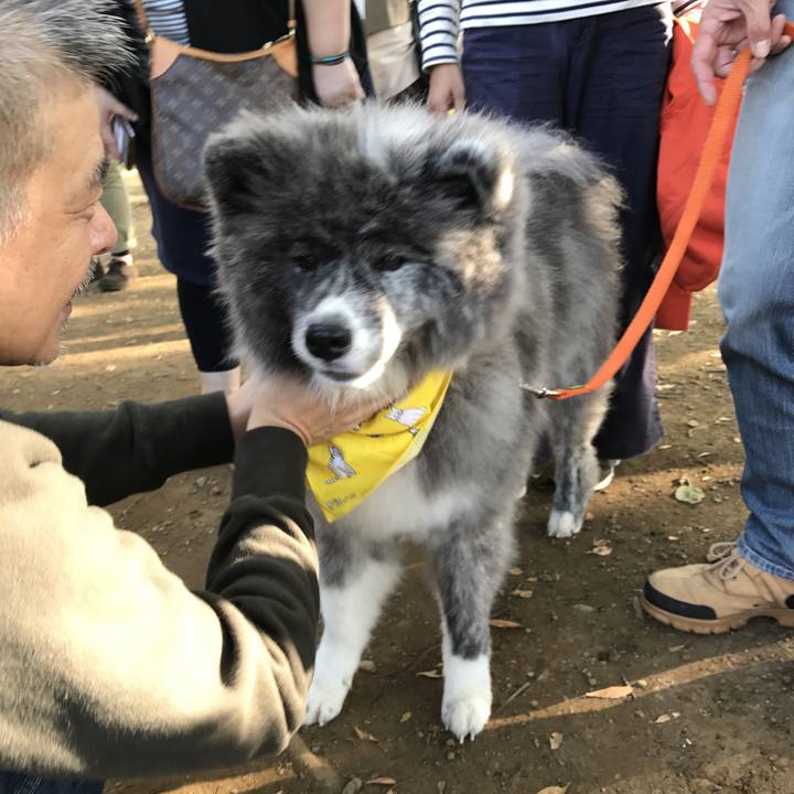 8b349788 692a 4323 9c3c bb0ec10a5be5