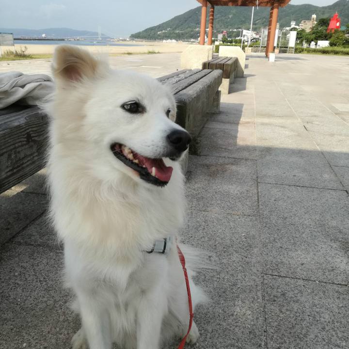 8b354874 023c 4e8b a0ea 95d5cd3c44f0