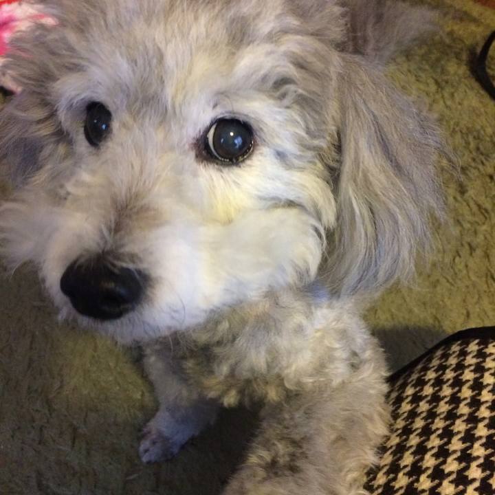 8b35879c 4516 45b5 8828 96fc16968517