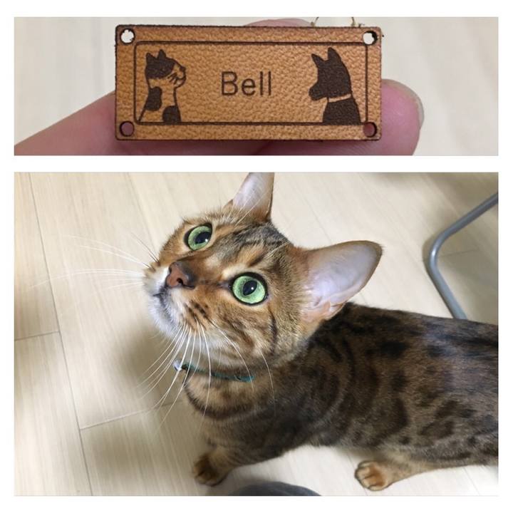 8b35bd2d e948 4f24 aab6 68c561a80ff0