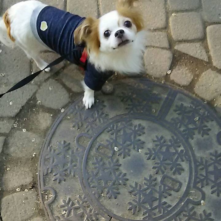 8b35fac3 f9a9 4cbb a1f2 28fbe3328b2f