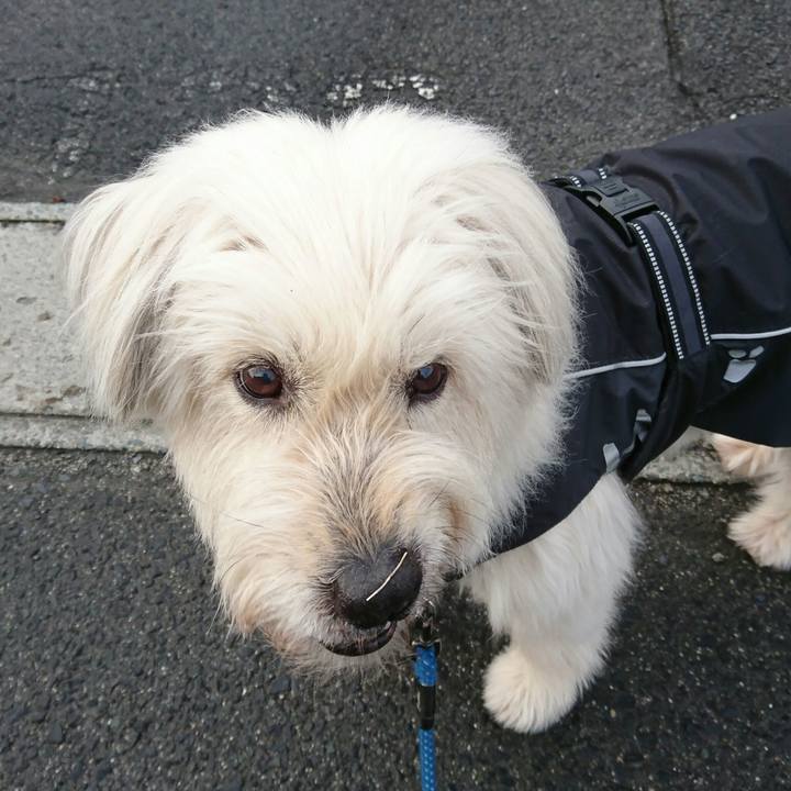 8b363a62 7d3e 4ee5 b538 0f2439ea43d1