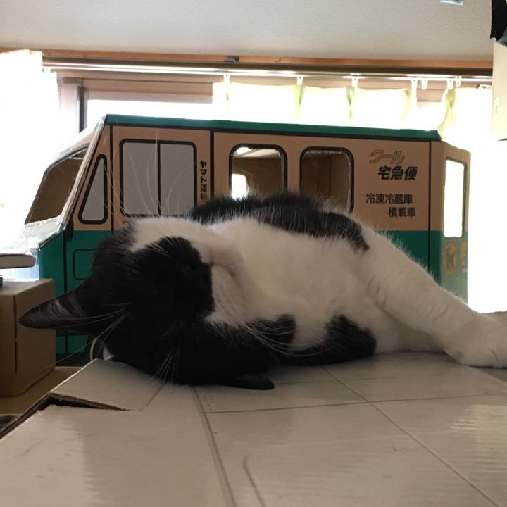 8b375b7d 611a 4e68 80ca cc66da5fa3a9