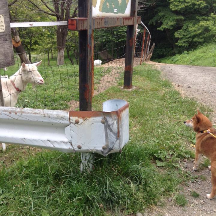 8b375cbd 70b0 488f bd35 5e04c2c52afd