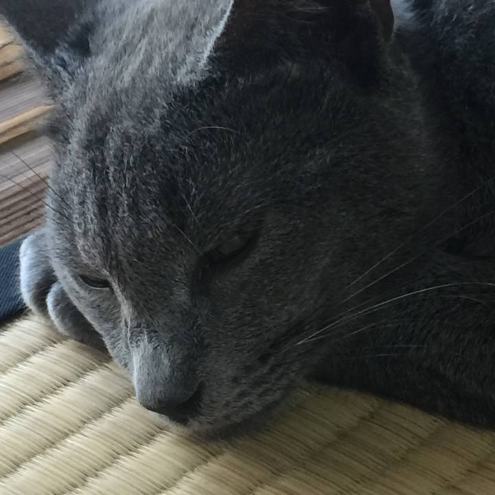 8b375dd4 1c20 4d6d 96bd f6b619ef2a7f