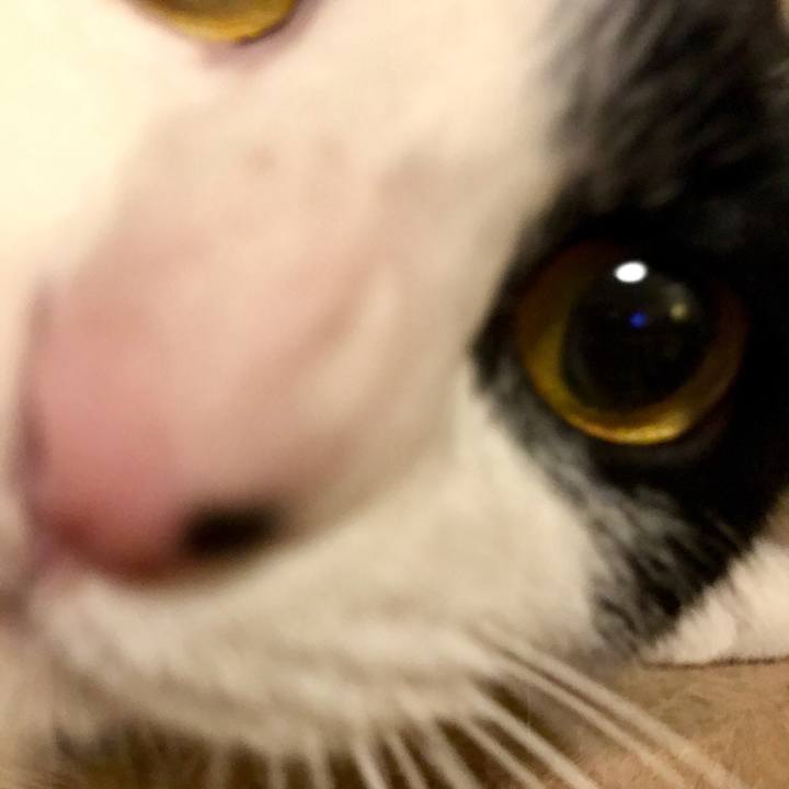 8b3799d3 0107 42ac a934 4c9866c8bf64