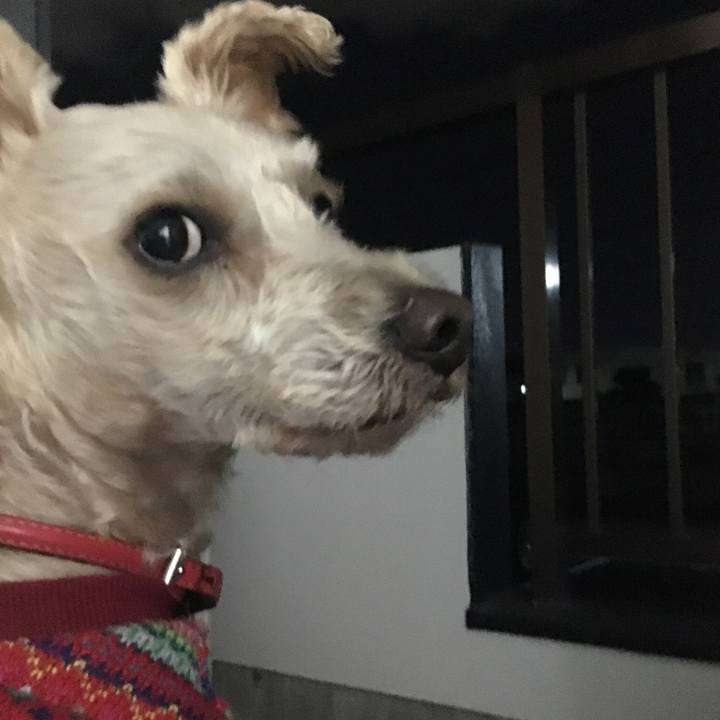 8b384dfe 9f96 41af 85ff 46ef07528696