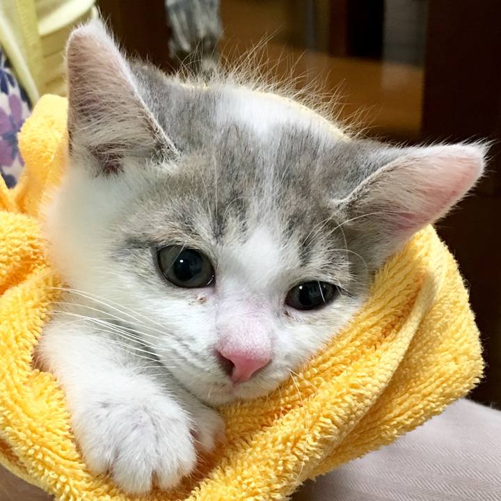 8b388234 21d7 4fb3 9648 e9f3a27ad4c2