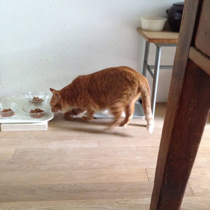 8b388d5f 332c 4d26 95a8 80ed4c9ee726