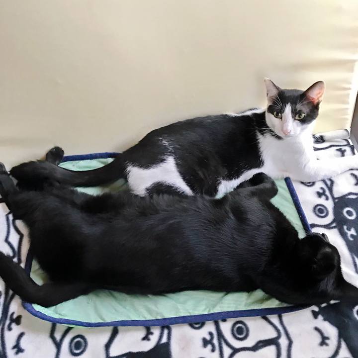 8b38a91e c3d0 446a beb0 a55e9d1694e5