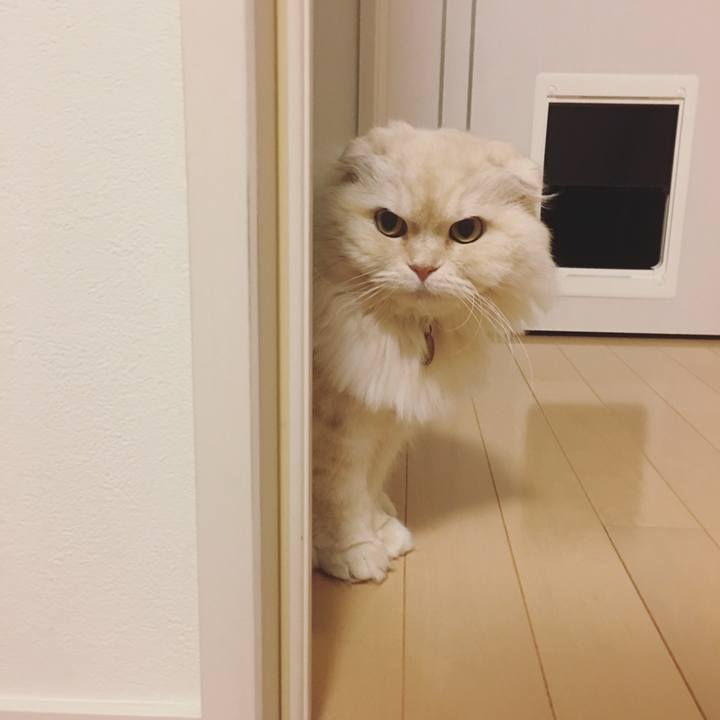 8b38ecb0 4602 43d4 b16f 3f386e820dad