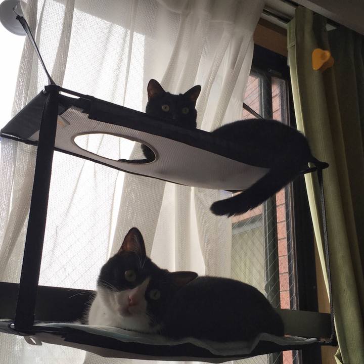 8b39d001 5b95 4a10 9d9d f5d5073cf225