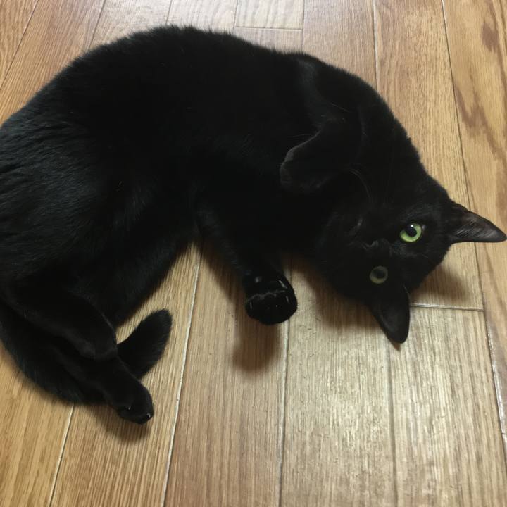 8b39ed9b a7fa 4cc6 8371 2bb2014d45da