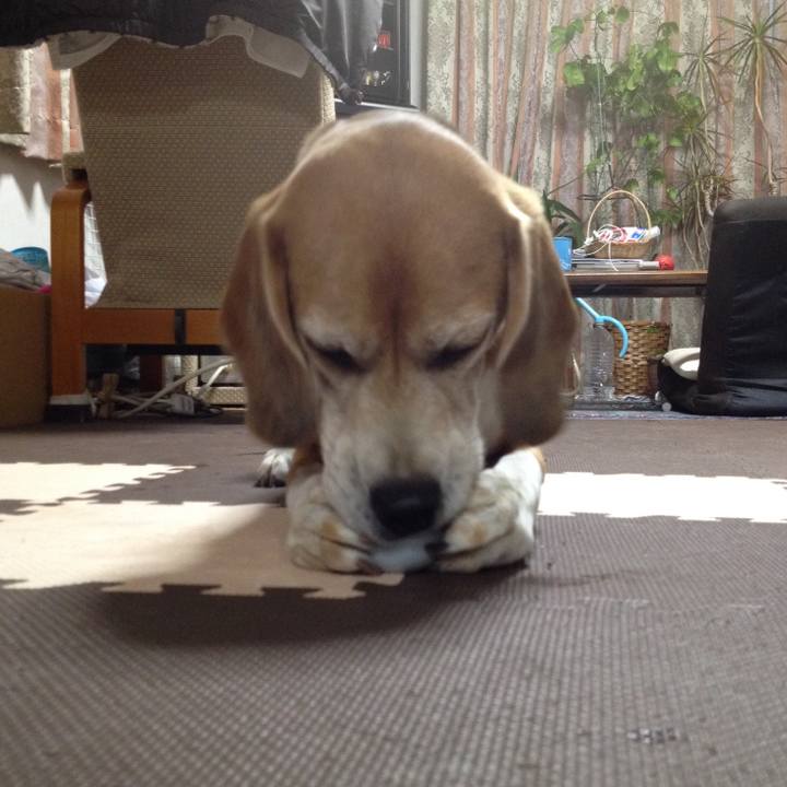 8b3b06c9 0376 47c7 be7c 8e1c5caded14