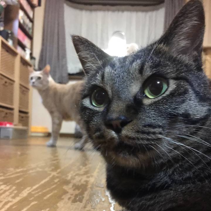 8b3bf0f3 f83d 4422 9ebc f6cdc2c23ca3