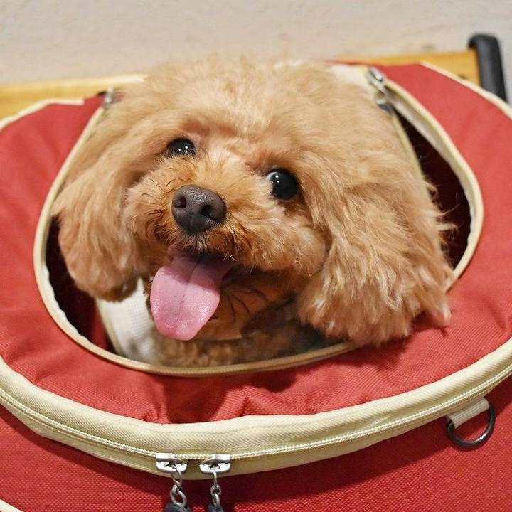 8b3c457b a90c 4204 900f b07aecd1dad0