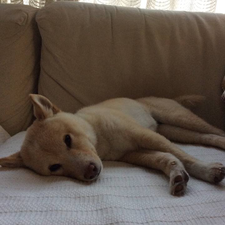 8b3d8ec7 16ec 4ff6 af91 e56c4a902aa2