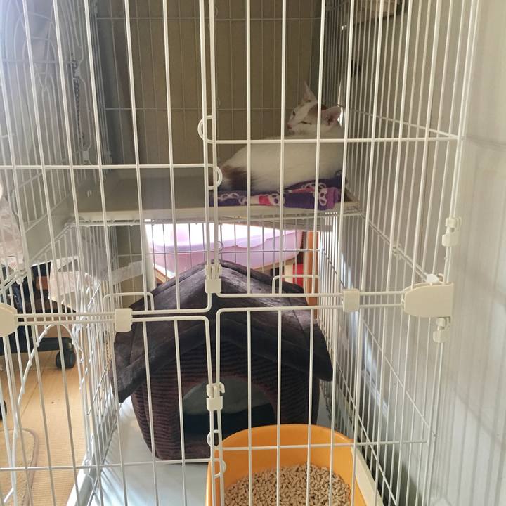 8b3eb528 49cb 4d4a bfe4 1390e73f1768