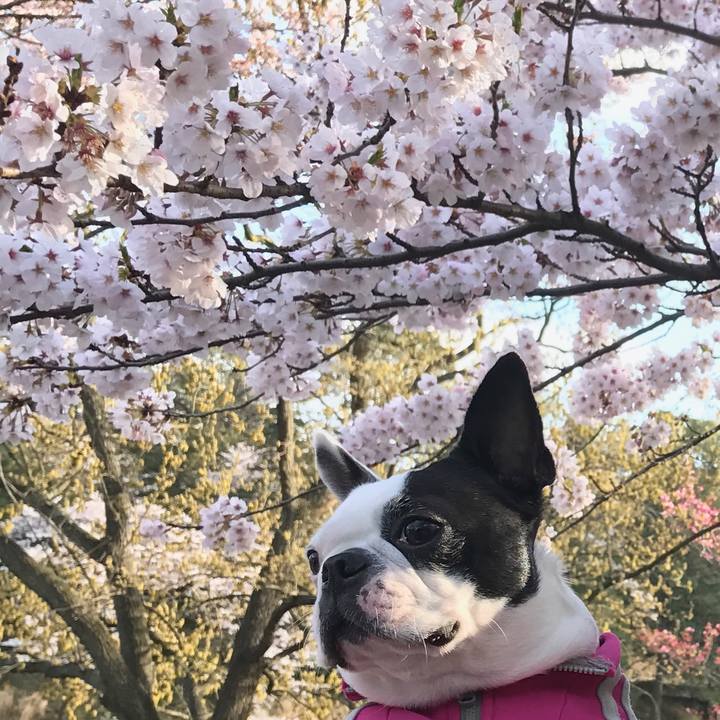 8b3fbd9f 4cd5 4a94 87ff b2e1eacc8a1d