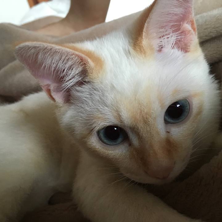 8b40065d 9520 4ff7 a67b fad570da519c