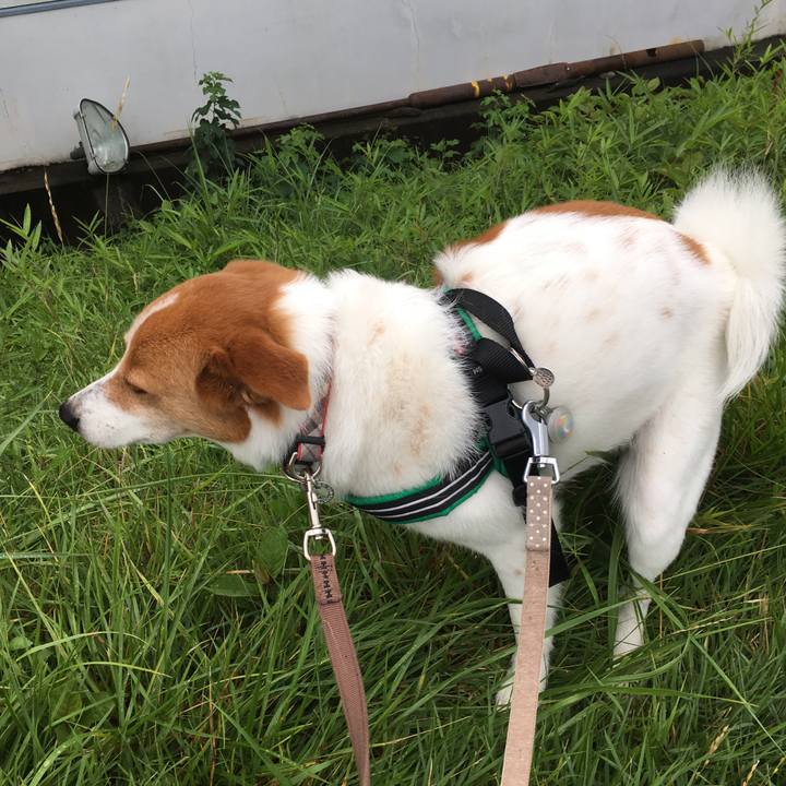 8b405b99 c42d 400c 833f 73b3c3854198