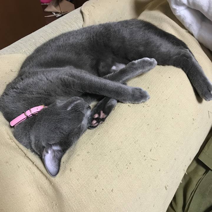 8b408874 afba 4d74 b2c0 330c0b4c9474