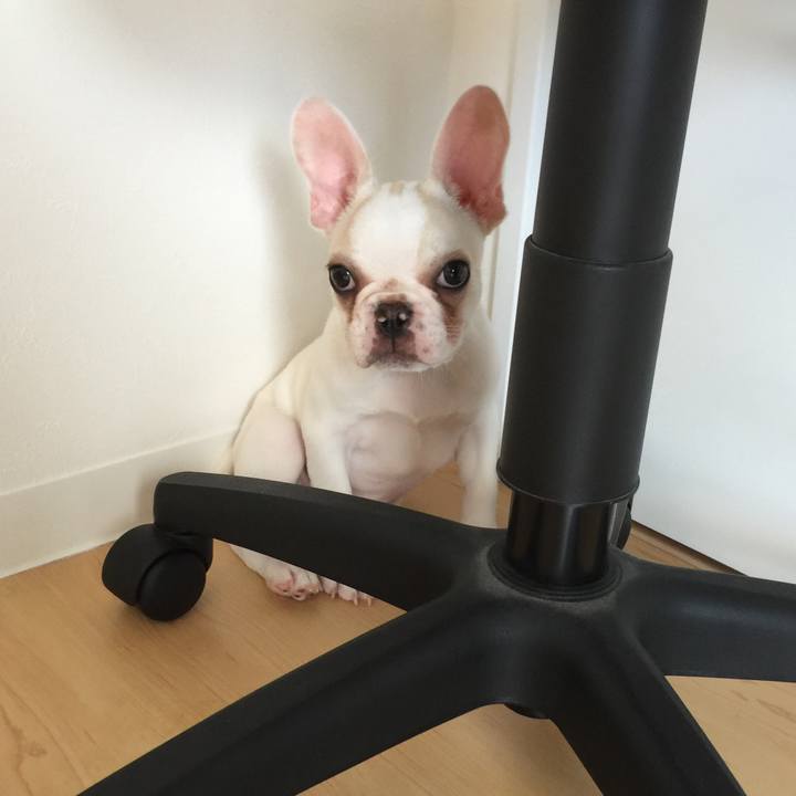 8b40b802 0b0a 41ef 9625 7547bf30184e