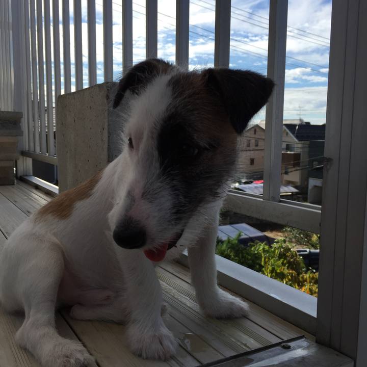 8b40d58f 3f38 40b1 81f7 0d865cb8cc1e