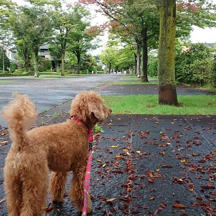 8b414d17 a489 426e 97fc 2cf898ab2a52