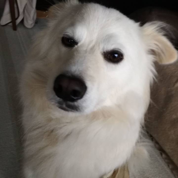 8b41bed9 8c49 47fd ac42 2d014d836de2