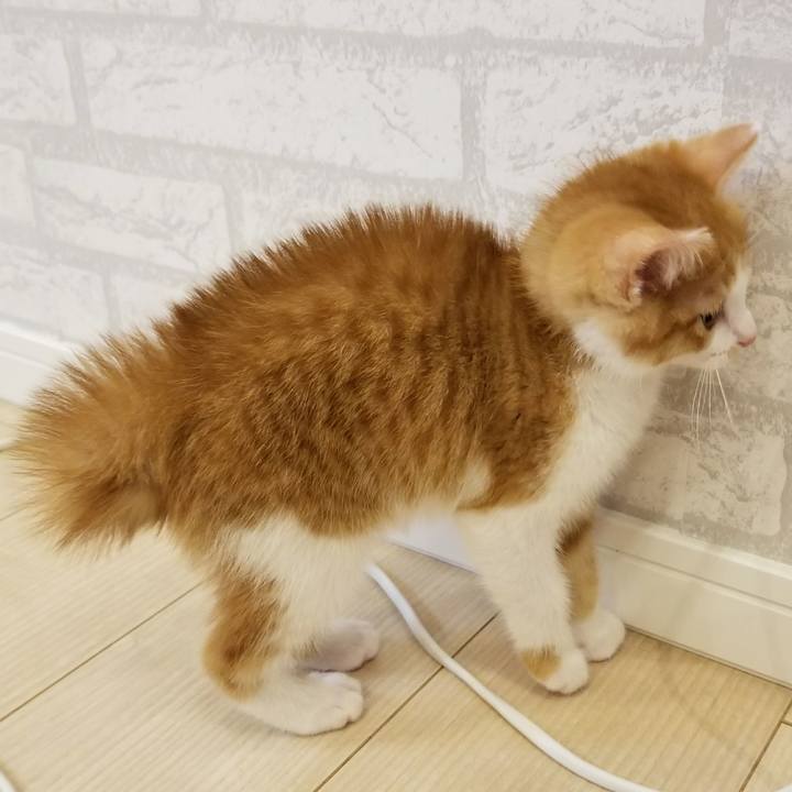 8b425803 f1f2 4d6e 9814 a2f44670b790