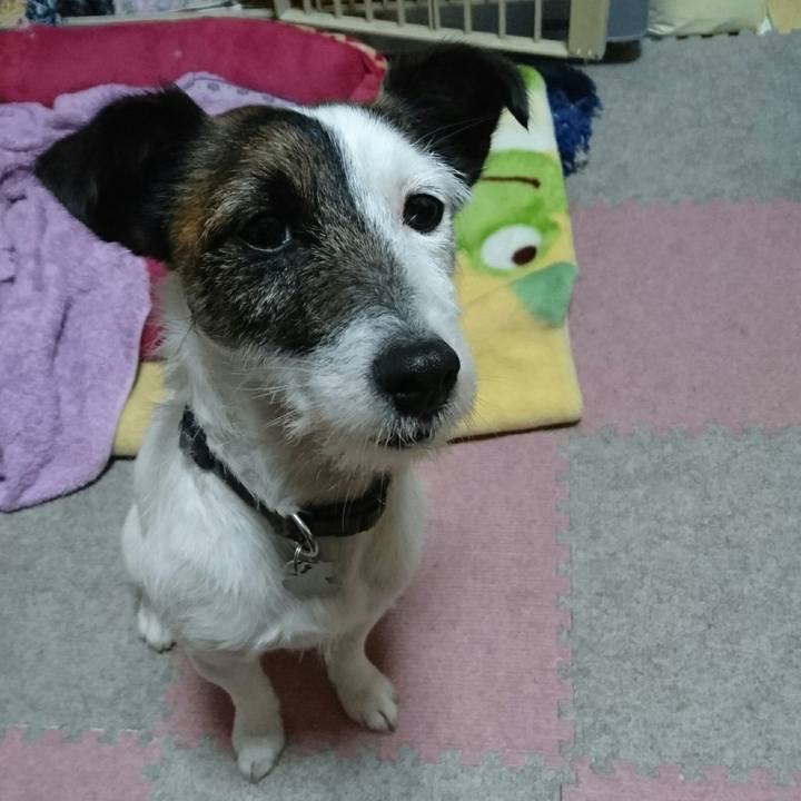 8b43225b a3ce 4d37 a52c 3accf4ea6813