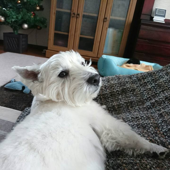 8b441f86 6c0e 47c1 a98f 2e53bca7b46b