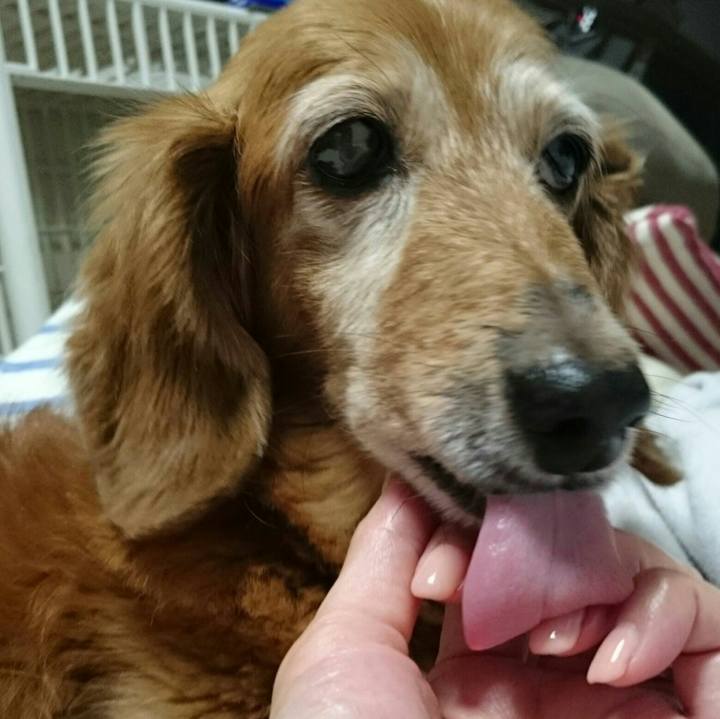 8b445d7c 35a8 4443 a2b2 3faeefd4b255