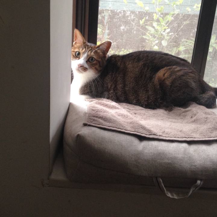 8b448931 9b5e 413b 819e 8c4aaaaf94f7