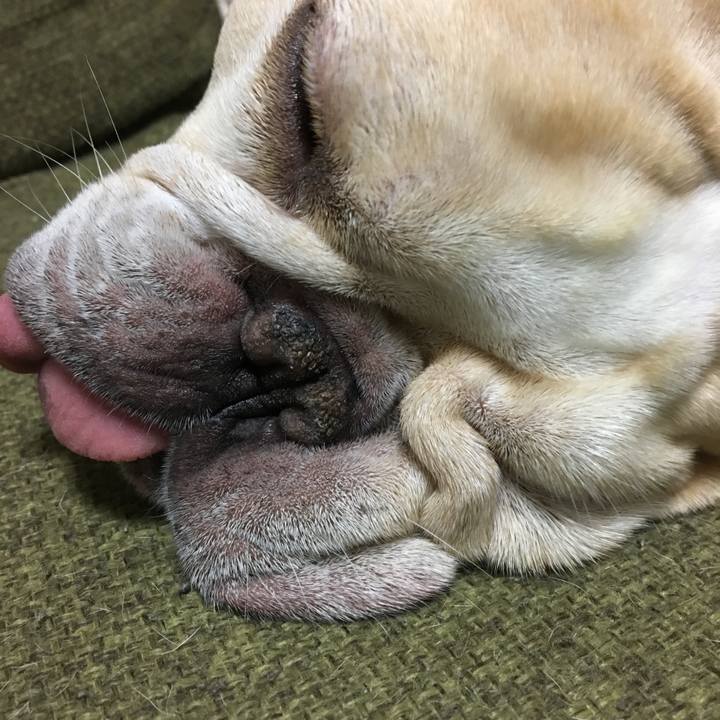 8b4534d1 194f 4a1b 95b3 9f5bbfef4f63