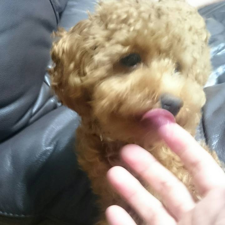 8b458627 cc29 46ef a130 fcc1f88ec84d