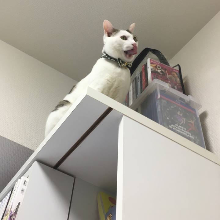 8b460bca 2e31 452b 801e 914545b61d90