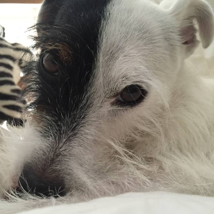 8b465ea9 0258 4bab 8f96 34b8c4653b9d