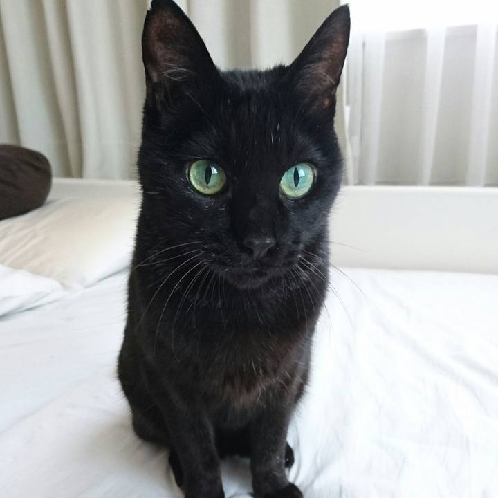 8b46711c c508 4ca3 9b06 b45f24d81ae2