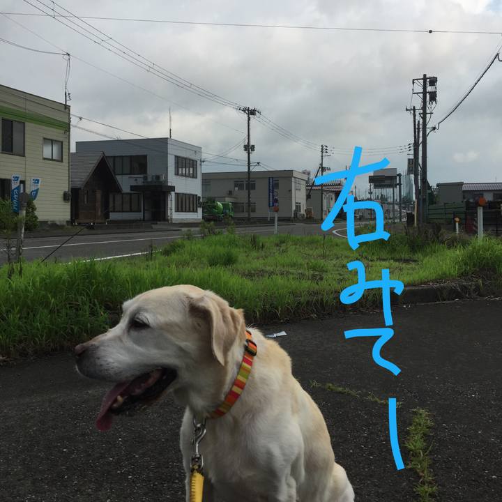 8b475bf5 509a 4991 bf80 bce3456cdd03