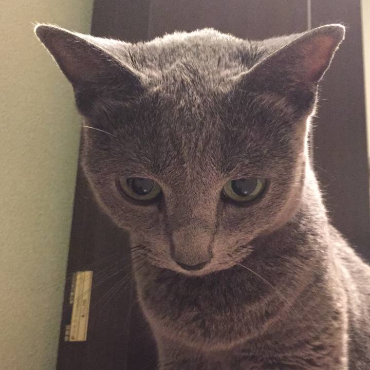 8b483bd8 9f20 49a3 875f d2a546172128